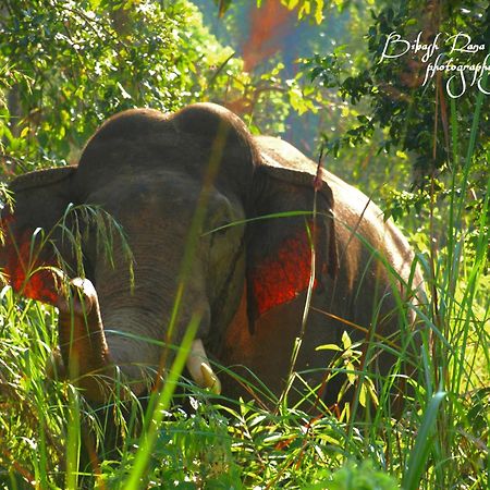 Mr. B'S Place Bardiya Екстер'єр фото