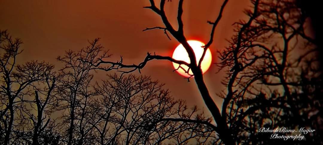 Mr. B'S Place Bardiya Екстер'єр фото