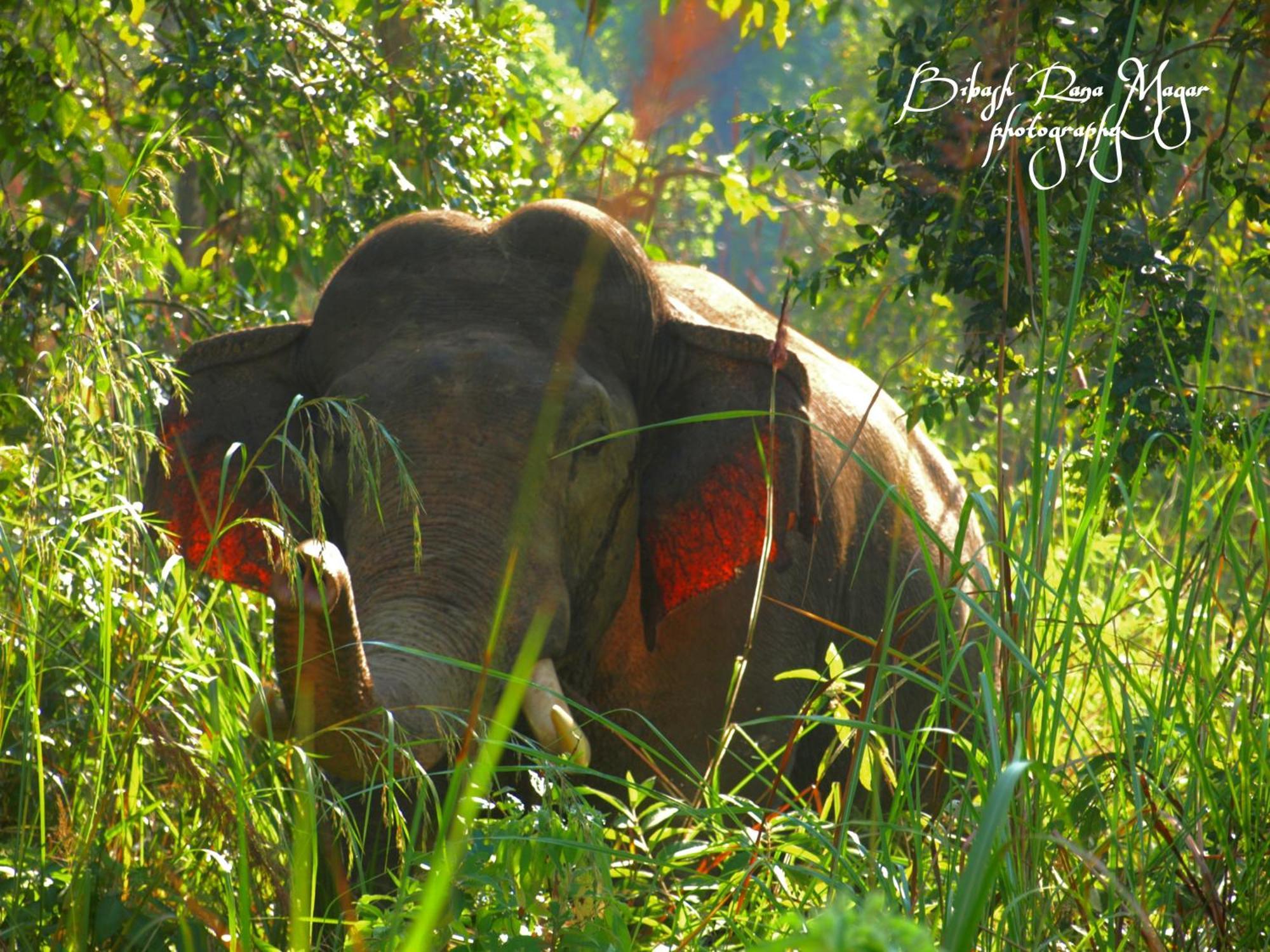 Mr. B'S Place Bardiya Екстер'єр фото