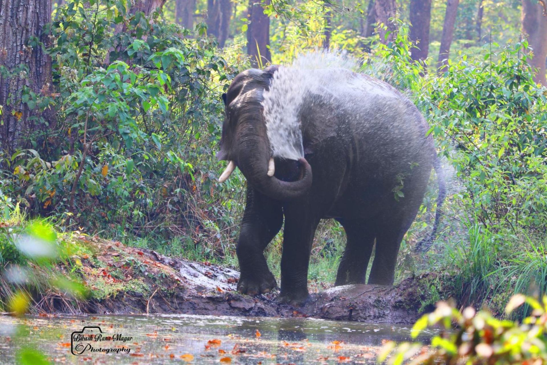 Mr. B'S Place Bardiya Екстер'єр фото