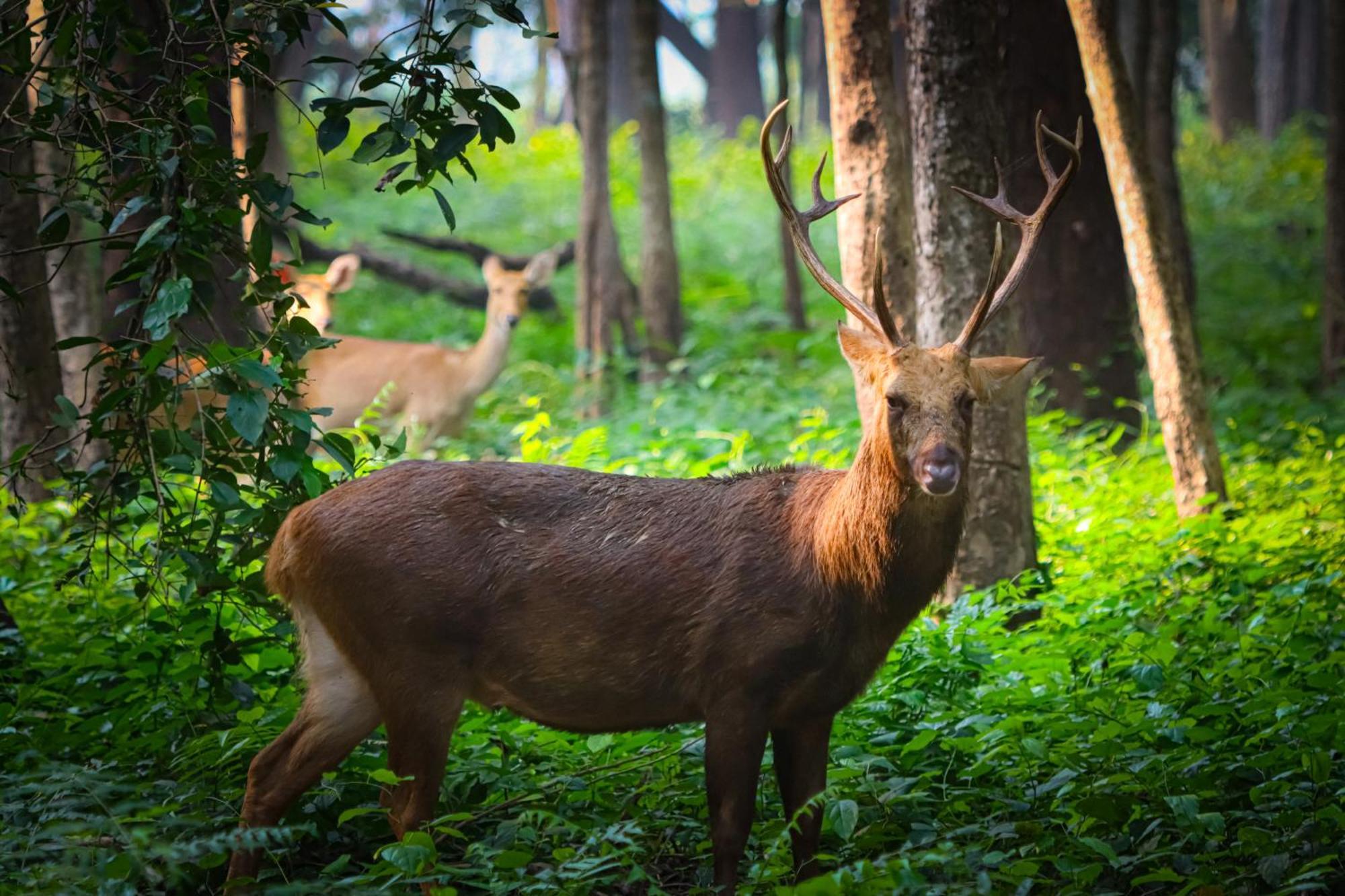 Mr. B'S Place Bardiya Екстер'єр фото